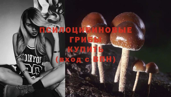 каннабис Ельня