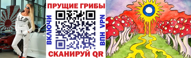 Псилоцибиновые грибы Psilocybine cubensis Купить Верещагино